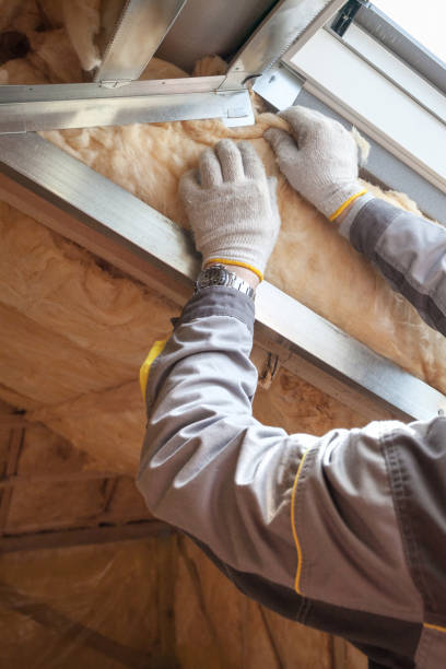 Best Spray Foam Insulation in Galena Park, TX