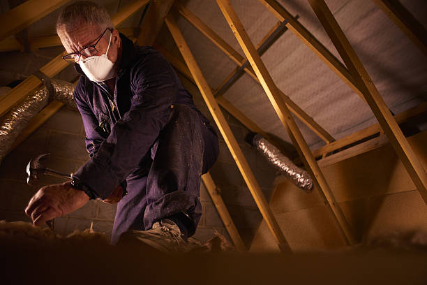 Best Blown-in Insulation in Galena Park, TX